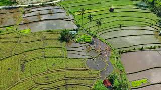 amazing agriculture technology part 5 by vivasaya nadu - விவசாய நாடு