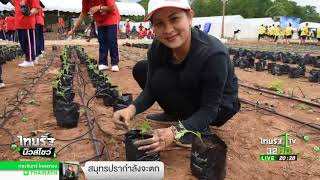 ปลูกดาวเรือง 4 แสนต้น | 19-08-60 | ไทยรัฐนิวส์โชว์