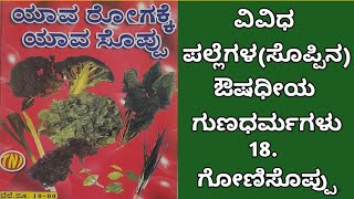 ವಿವಿಧ ಸೊಪ್ಪಿನ ಔಷಧೀಯ ಗುಣಧರ್ಮಗಳು ಗೋಣಿಸೊಪ್ಪು | Medicinal PropertiesOfDifferentPlants Gonisoppu