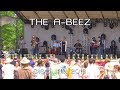 The A-Beez: 2018-06-08 - Disc Jam Music Festival; Stephentown, NY (Complete Show) [4K]