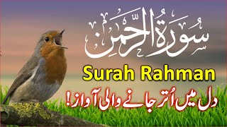 Surah Rahman Beautiful Recitation | Surah AR Rehman Tilawat | سورۃ رحمن | Trimedia ep2973