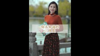 被《三国演义》骗了这么多年，你不了解的三国史#三国 #传统文化