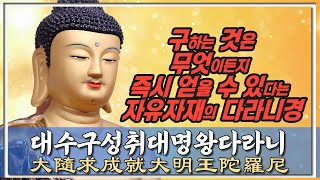 “대수구성취대명왕다라니”  9독