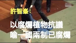 【5·28精選片段】香港立法會國歌法二讀  議員許智峯以腐爛植物抗議 喻一國兩制已腐爛