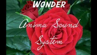 Anima Sound System - Wonder