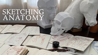 How to Learn Anatomy for Artists - Sketchbook Tour
