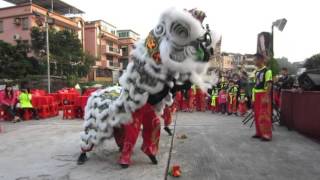 2016青山掃管笏村青年團春節聯歡(大江埔羅梁)