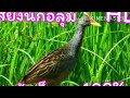 សំលេងសត្វថំ្លឬហោថាខ្លុំ1000%