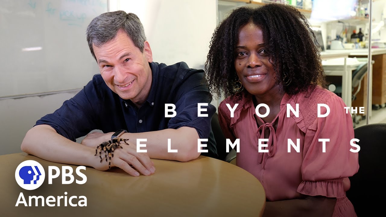 Beyond The Elements Reactions 2021 Full Documentary Nova Youtube