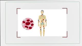 Everything You Need to Know: Immunophenotyping Test