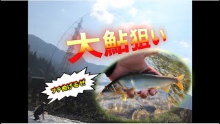 足羽川で大鮎に友釣りで挑む　水中映像も　【鮎釣り】