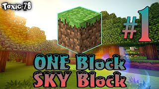Minecraft But, You Only Get One Block -SAMSUNG,A3,A5,A6,A7,J2,J5,J7,S5,S6,S7,59,A10,A20,A30,A50,A70