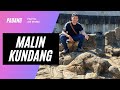 Batu Malin Kundang Asli di Sumatera Barat: Legenda atau Fakta?