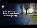 25-11-2020 Paard overleden na aanrijding