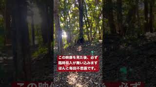 速報⚠️この動画に出会ったらなぜか大きな臨時収入が入ります。#shorts #パワースポット一人旅