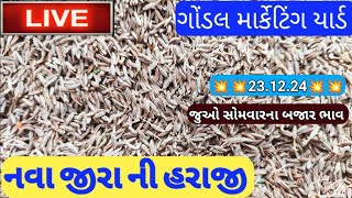 જીરા ના બજાર ભાવ આજના / આજના જીરુ ના ભાવ / જીરા નો ભાવ /ગોંડલ માર્કેટિંગ યાર્ડ