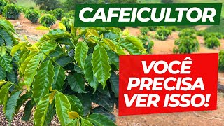 Fertirrigação: Você Aduba sua Lavoura Enquanto Dorme??? | No Pé do Café