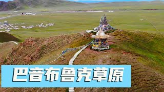 Aerial photography of China’s second largest grassland: Bayinbulak grassland, with stunning scenery!