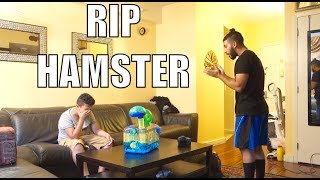 'YOUR HAMSTER DIED' PRANK!! *I bugged out*