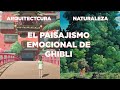 La Arquitectura Emocional de Ghibli