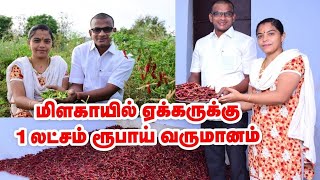 ஏக்கருக்கு ரூ.1 லட்சம் வருமானம் தரும் மிளகாய் சாகுபடி | Red Chilli | Pasumai Vikatan