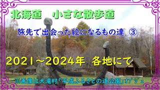 北海道　小さな散歩道（素敵なオブジェ等のある風景③　2021～2024）a little promenade