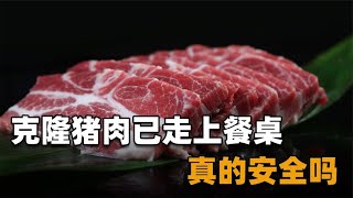 克隆技术真的安全吗？克隆猪肉早已走进千家万户，你可能天天都吃