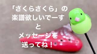 さくらさくら/二重奏ver./レッスン２/オカリナ/楽器/初心者向け