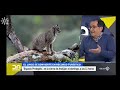 Reportaje Canal Sur Espacio Protegido 2024 sobre el ecoturismo y los hides de lince en gato clavo