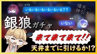 【崩壊スターレイル】新キャラ銀狼🐺お迎えできるかな？ガチャ動画