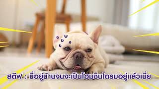 เปลี่ยนที่อยู่ ย้ายบ้าน เปลี่ยนที่ทำงาน อัปเดตที่อยู่ได้ง่าย ๆ ผ่านแอป SCB EASY