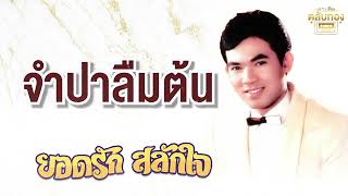 จำปาลืมต้น - ยอดรัก สลักใจ อมตะ 35 เพลงดัง   [Official Audio]  รวมฮิตตลับทอง