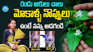 రెండు ఆకులు మోకాళ్ళ నొప్పులు శాశ్వతంగా మాయం! | Parijat Leaves for Knee Pain | Aruna Devi | iDream