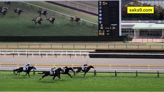 【現地】コウキ メイクデビュー東京 新馬戦