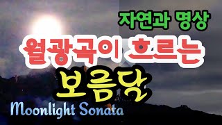 월광곡이 흐르는 보름달| 자연과 명상 |Moonlight Sonata | 만월명상