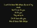 One Direction-Little Things(Official Lyrics)