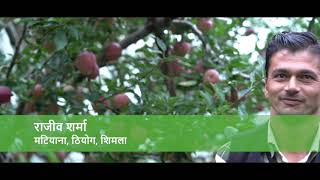 Apple Farmer Testimonials – Himachal Pradesh, India.