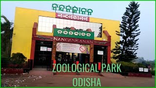 Nandankanan Zoo Safari # ସମ୍ପୂର୍ଣ ନନ୍ଦନ କାନନ ଦର୍ଶନ | Complete Tour #bhubaneswar  #Odisha