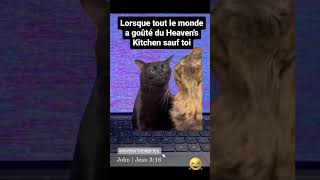 Ne soit pas ce chat 😂 #chat #cat #cats #restaurant #video