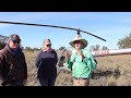 jaw dropping goat mustering in nsw