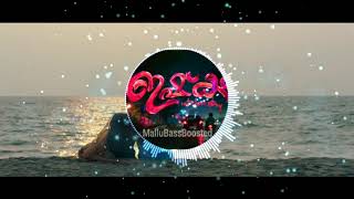 Parayuvaan Song Visualizer | Ishq Movie | MalluBassBoosted
