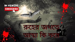 রুহের জগতে আত্মা কি করে  সেখানে কিভাবে বসবাস করে / How does the soul live in the spirit world? Ruoh