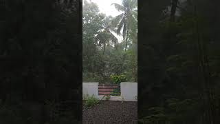 മഴ വരുന്നേ ഓടികോ....