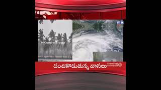 దంచి కొడుతున్న వానలు || #shorts || latest news