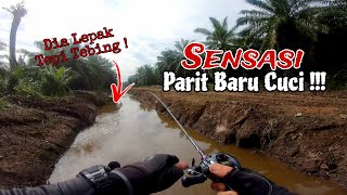 YANG MENYOROK SEMUA KELUAR !! CASTING HARUAN DI PARIT BARU CUCI || HARUAN UBAT BUDAK  BERKHATAN.