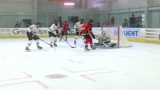 Local hockey players on display at All Ivy Showcase