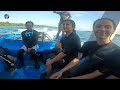 scuba diving in andaman havelock vs neil island andamans complete tour information