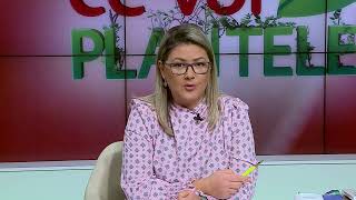 CE VOR PLANTELE CHRISTINA GHIBU  P1  5.02.2025