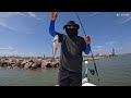 freeport surfside jetty fishing mangroves everywhere