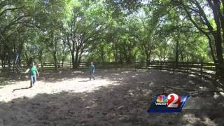 See how equine therapy helps local veterans